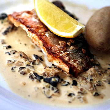 Pan-seared Arctic char with Morel Sauce